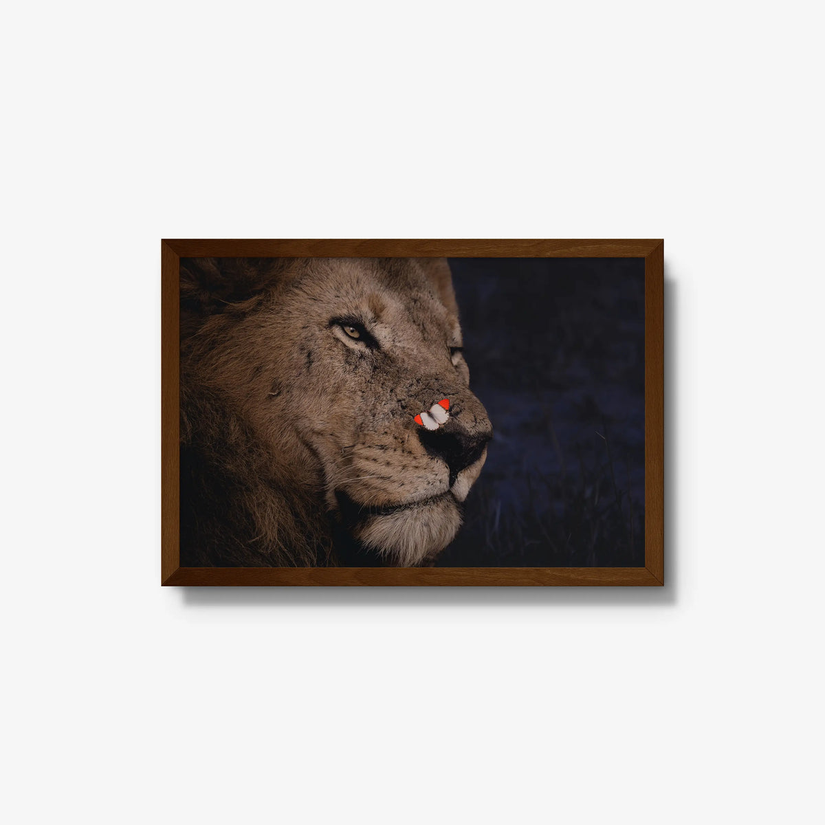 Unlikely Visitor — medium / brown / full