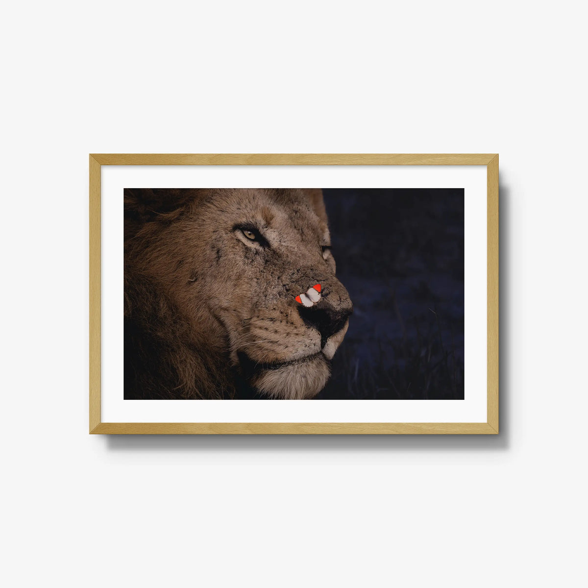 Unlikely Visitor — large / natural / mat