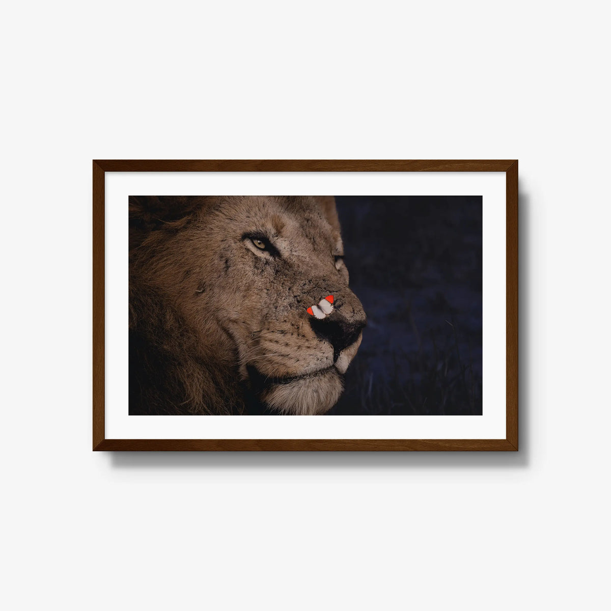 Unlikely Visitor — large / brown / mat