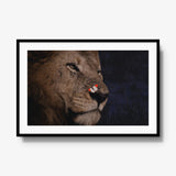 Unlikely Visitor — gallery / black / mat