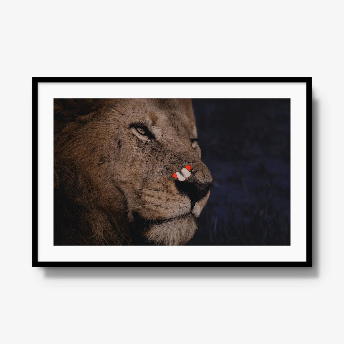 Unlikely Visitor — gallery / black / mat