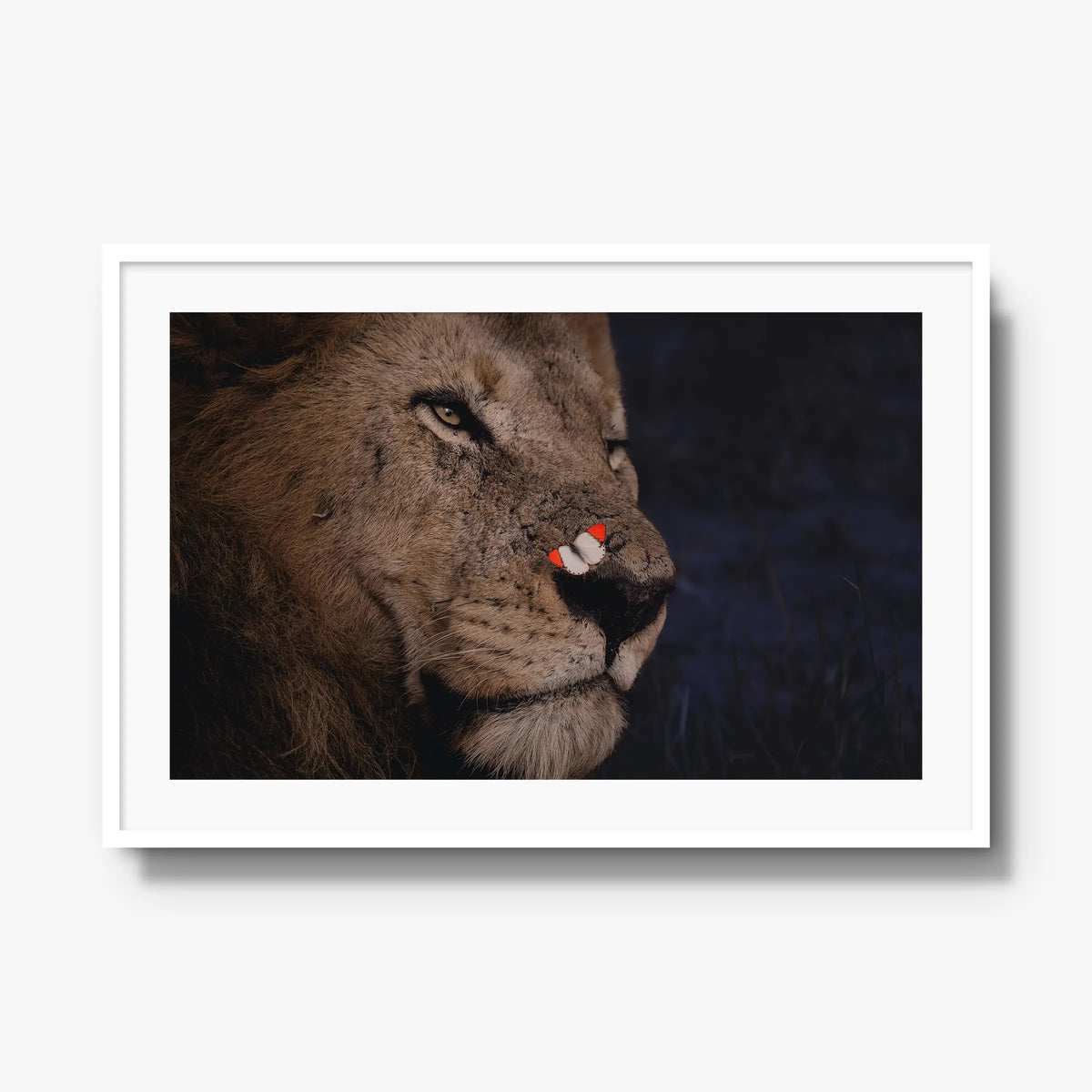 Unlikely Visitor — gallery / white / mat