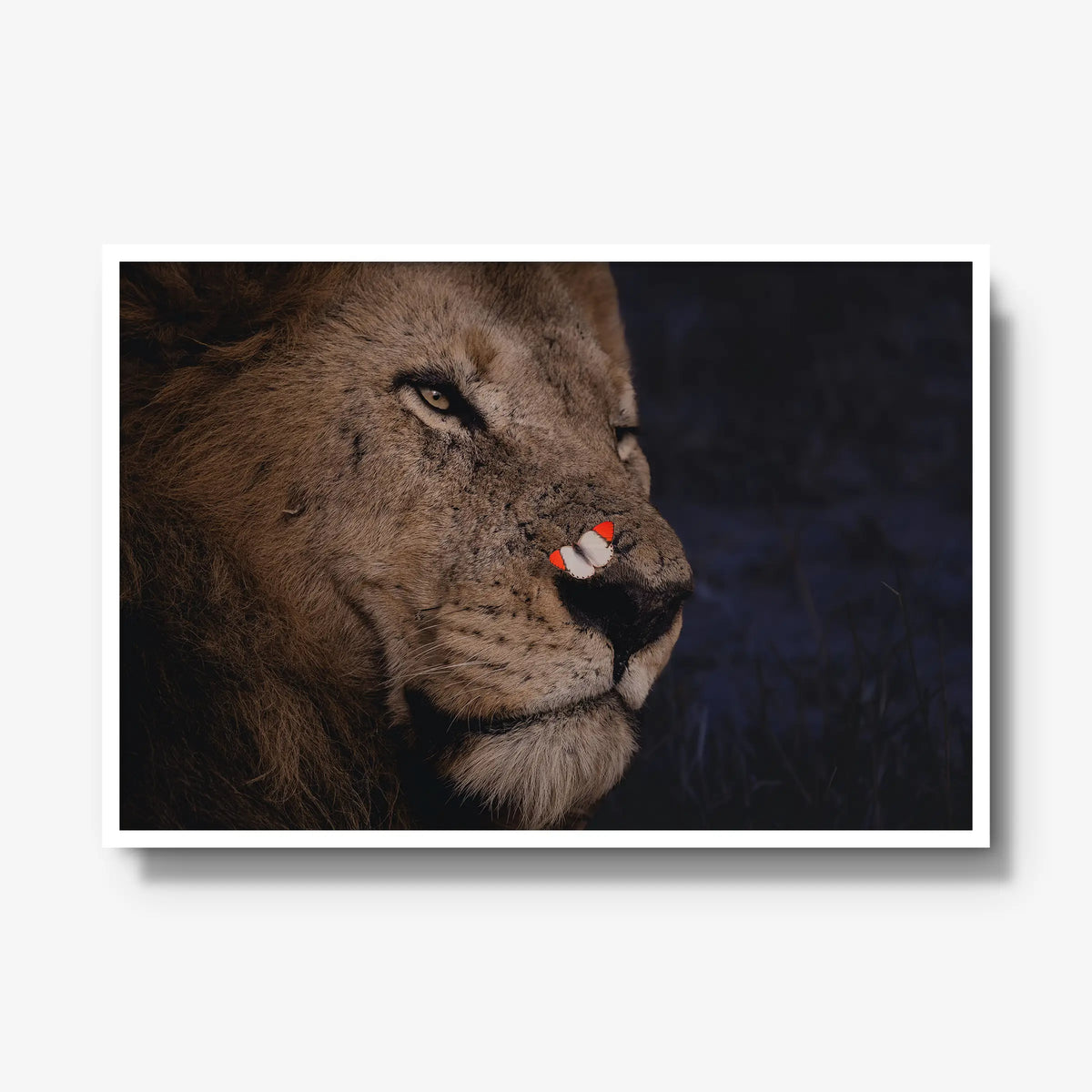 Unlikely Visitor — gallery / white / full