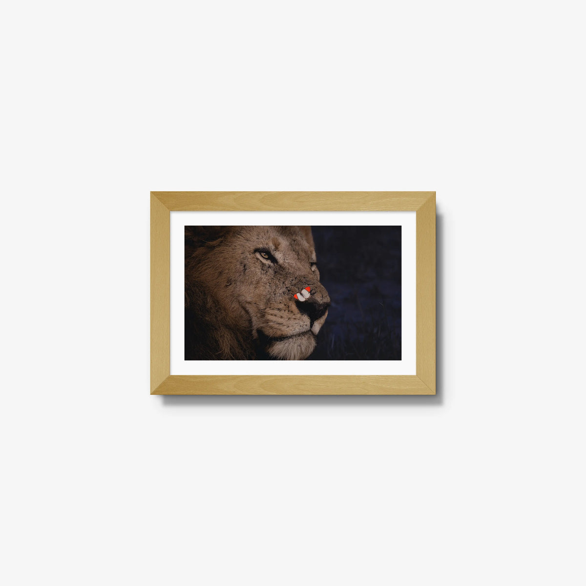 Unlikely Visitor — mini / natural / mat
