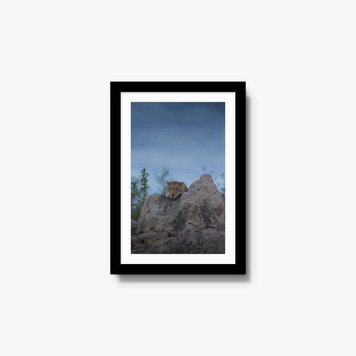 Weight of the Day — small / black / mat