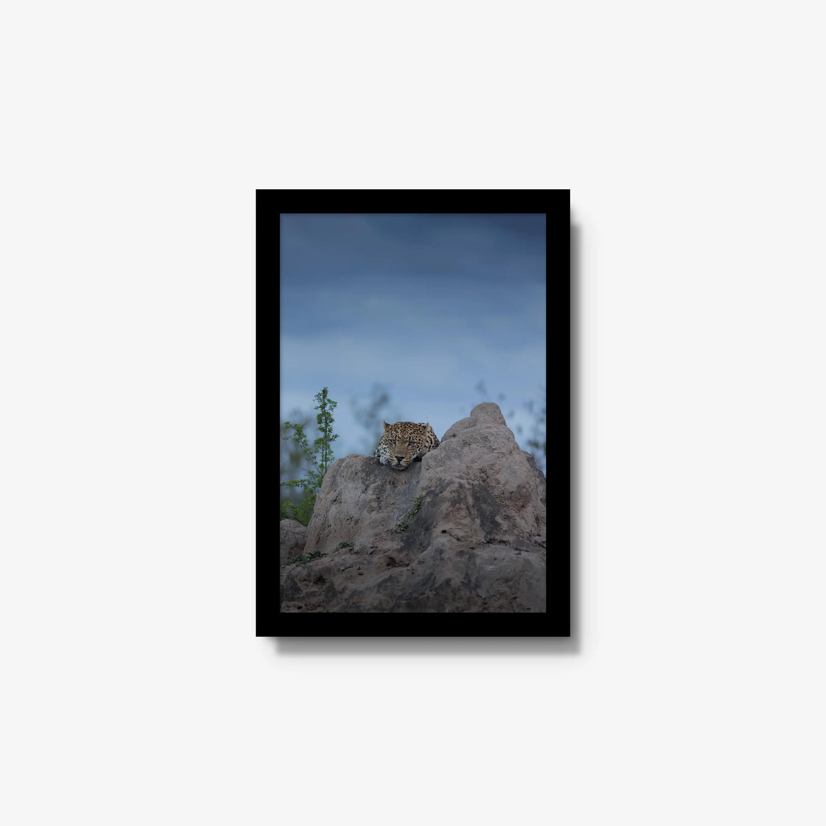 Weight of the Day — small / black / full