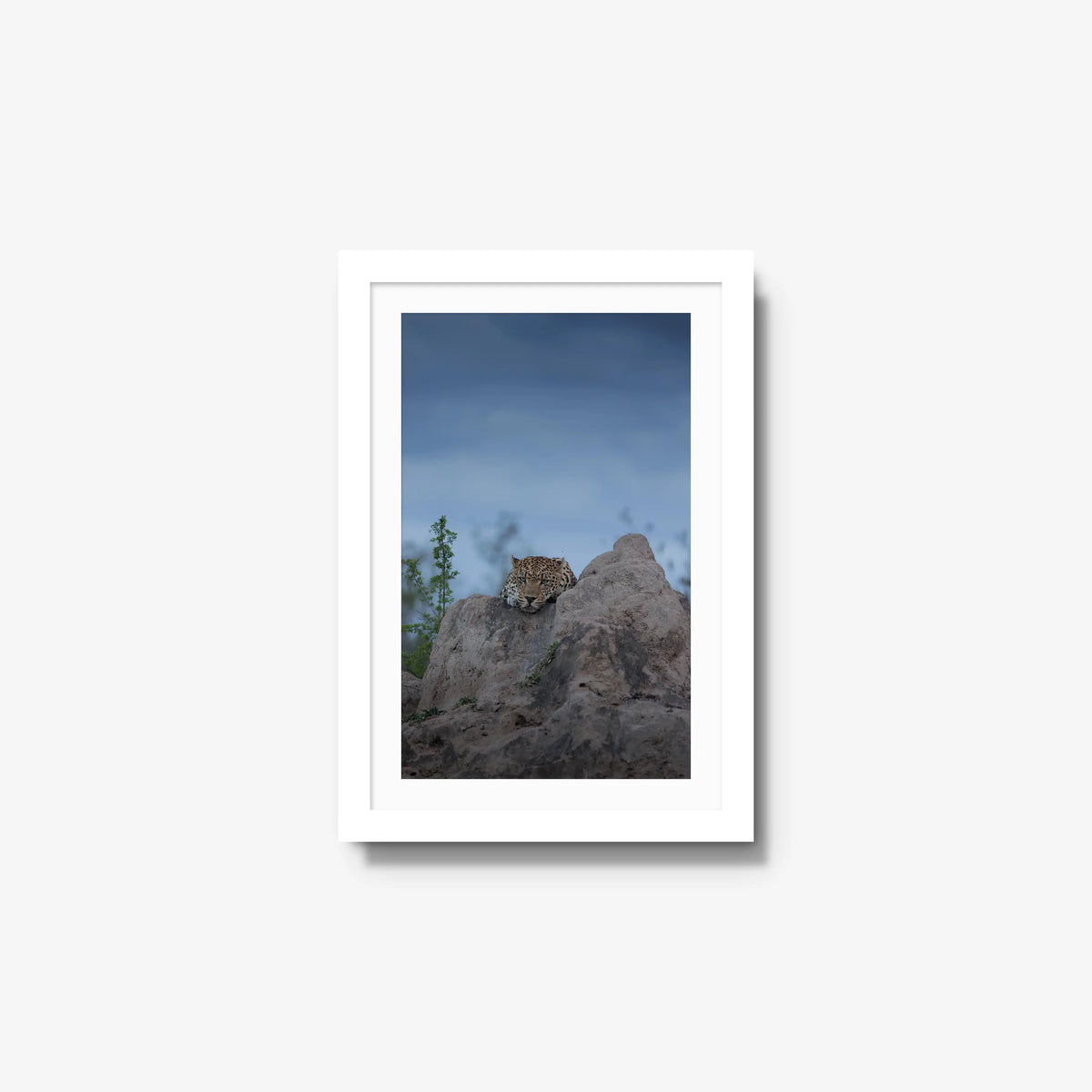 Weight of the Day — small / white / mat