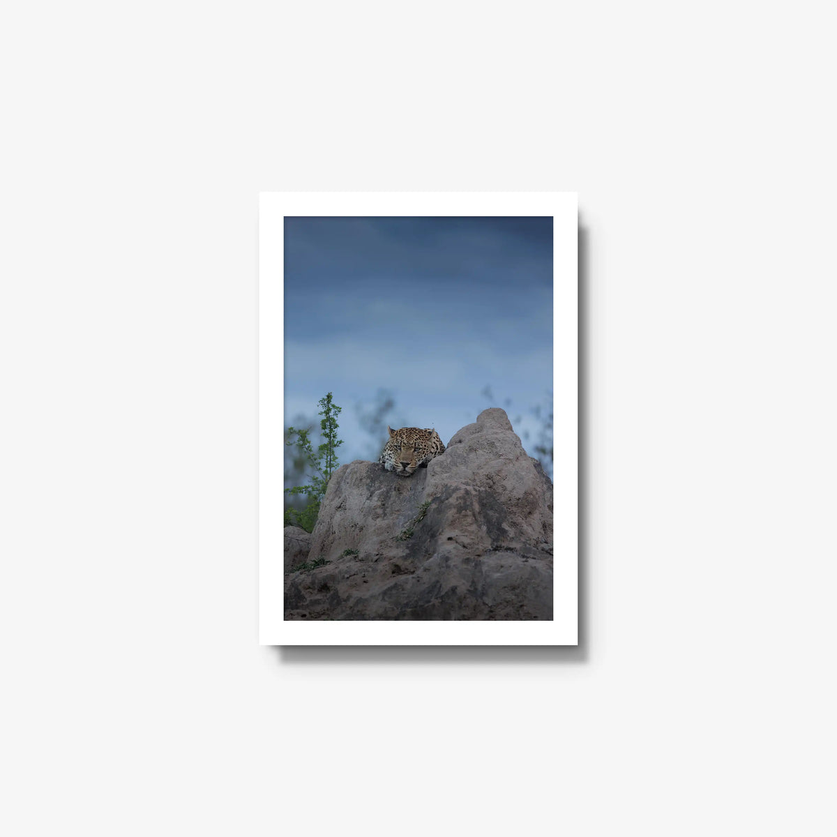 Weight of the Day — small / white / full