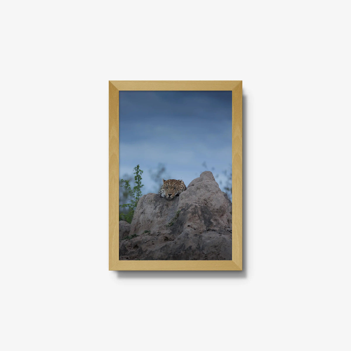 Weight of the Day — small / natural / full