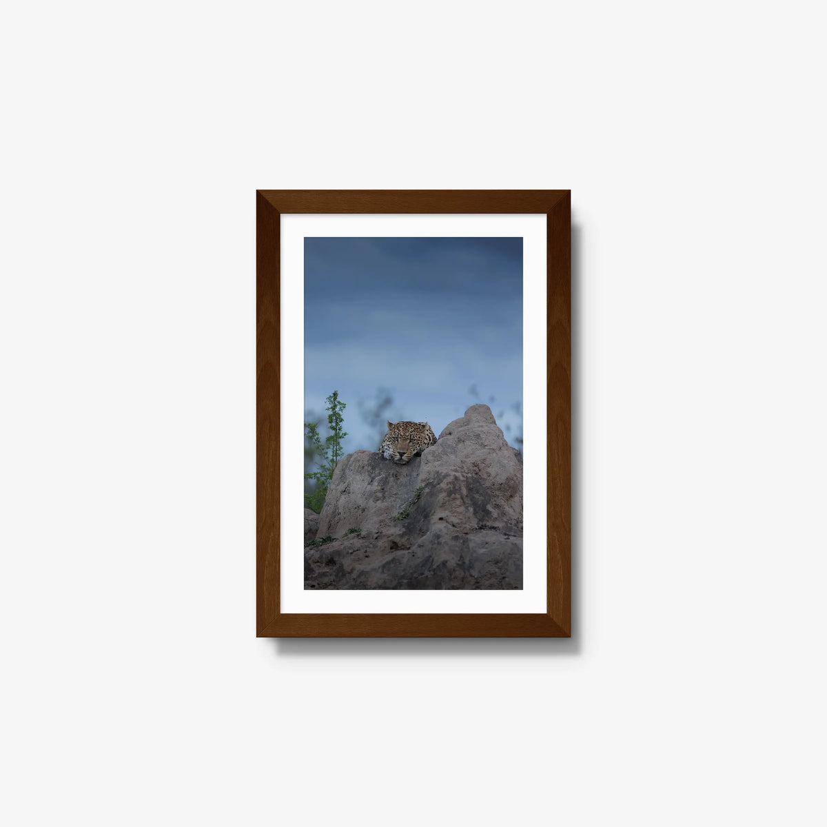 Weight of the Day — small / brown / mat