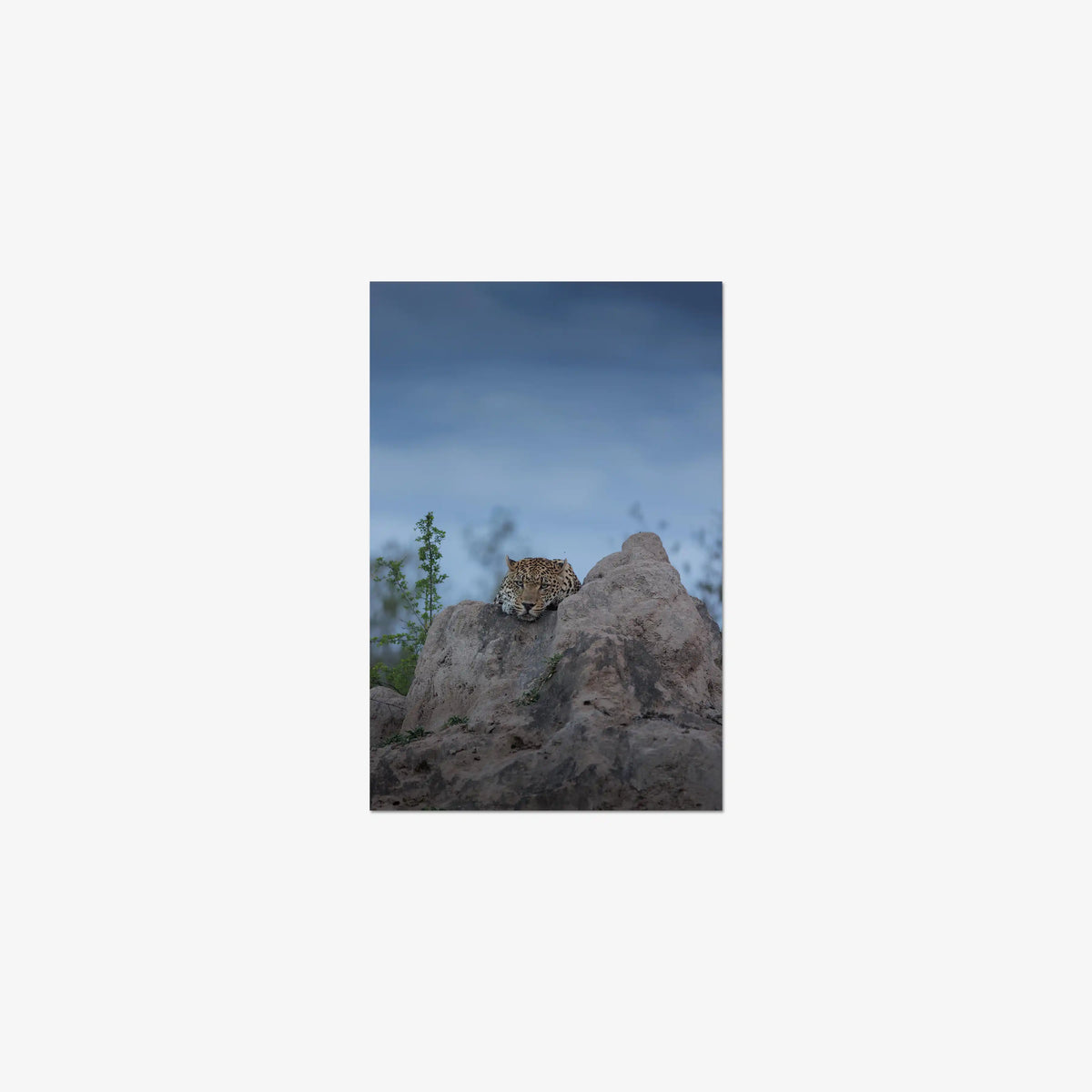 Weight of the Day — small / print / n/a