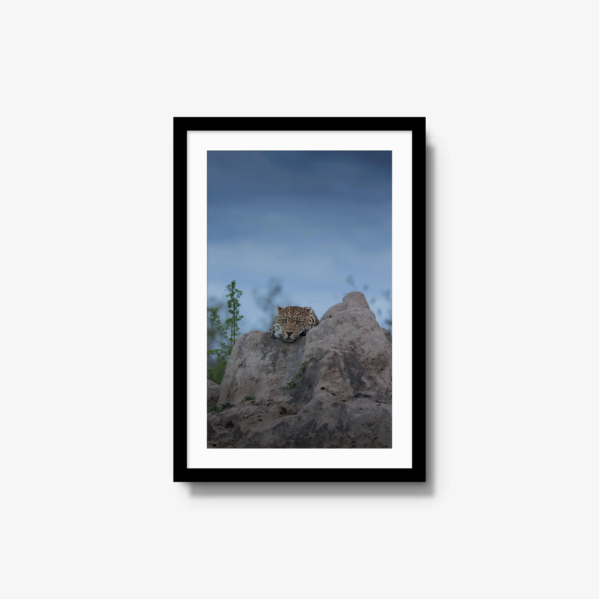 Weight of the Day — medium / black / mat