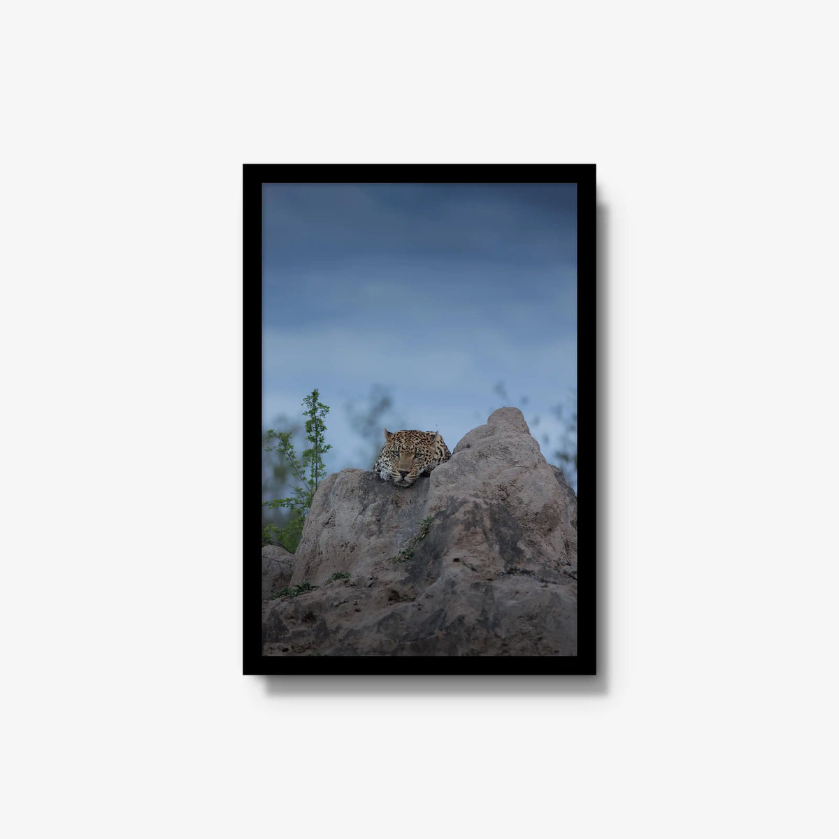 Weight of the Day — medium / black / full