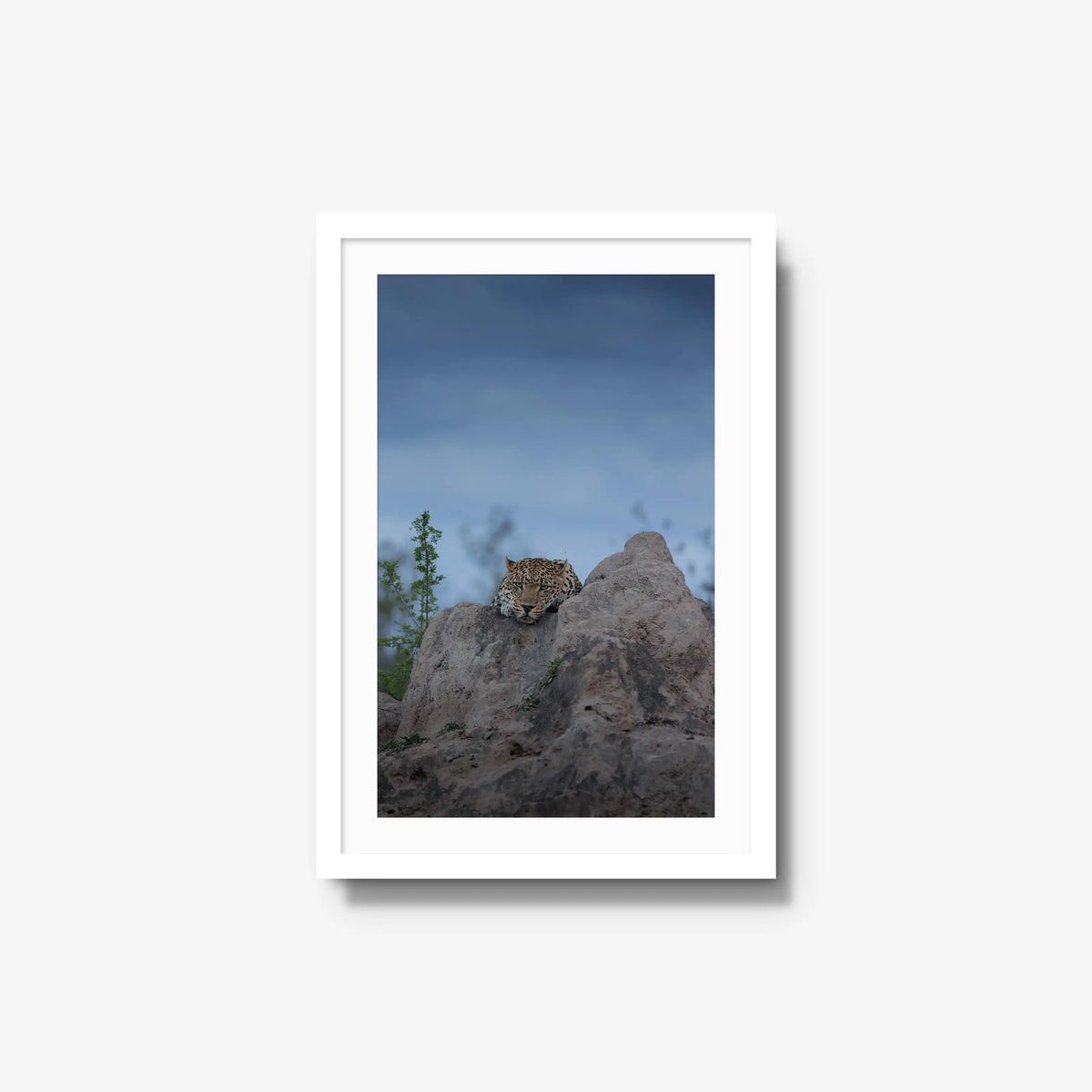 Weight of the Day — medium / white / mat