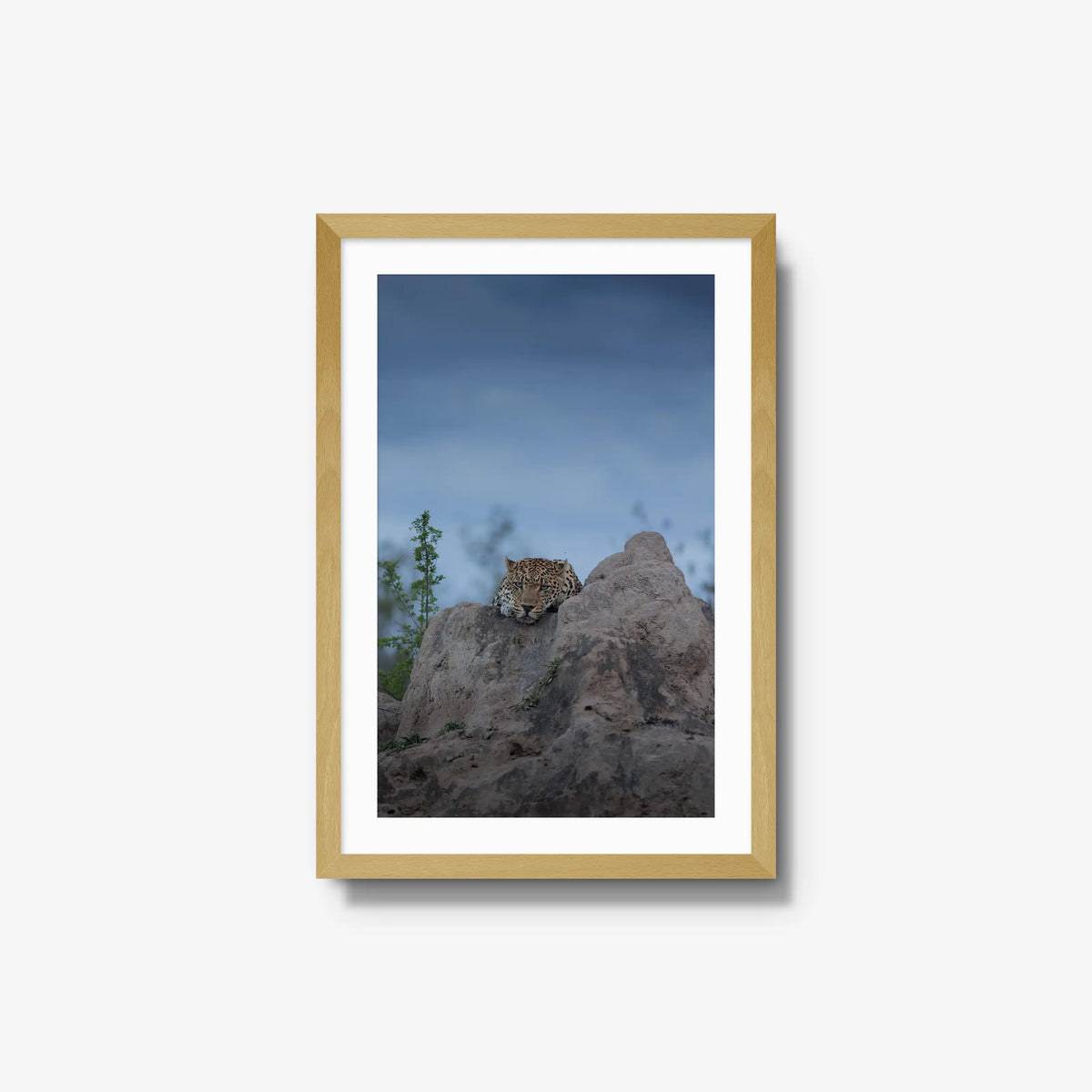 Weight of the Day — medium / natural / mat