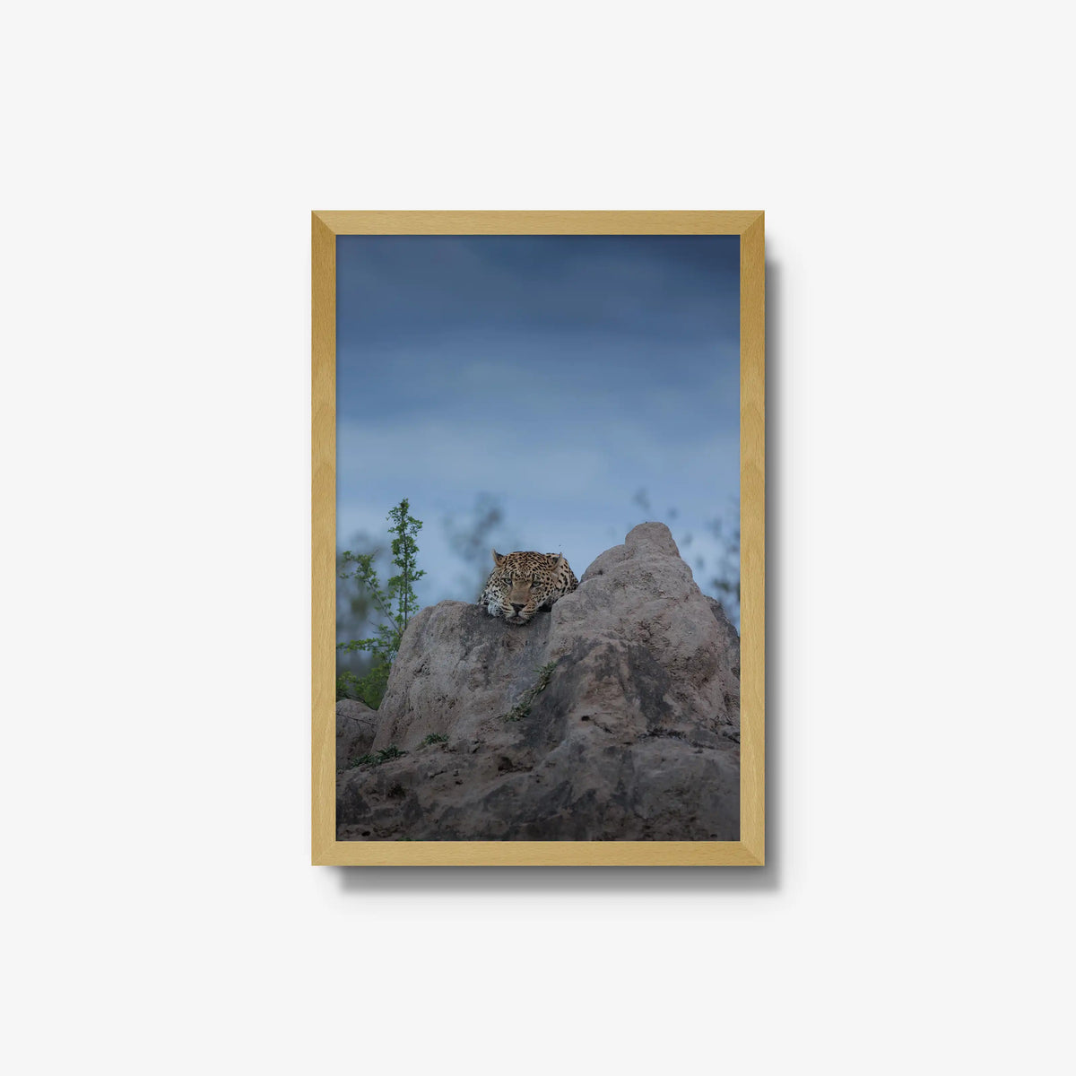 Weight of the Day — medium / natural / full