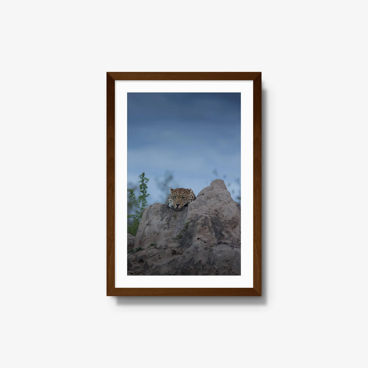 Weight of the Day — medium / brown / mat