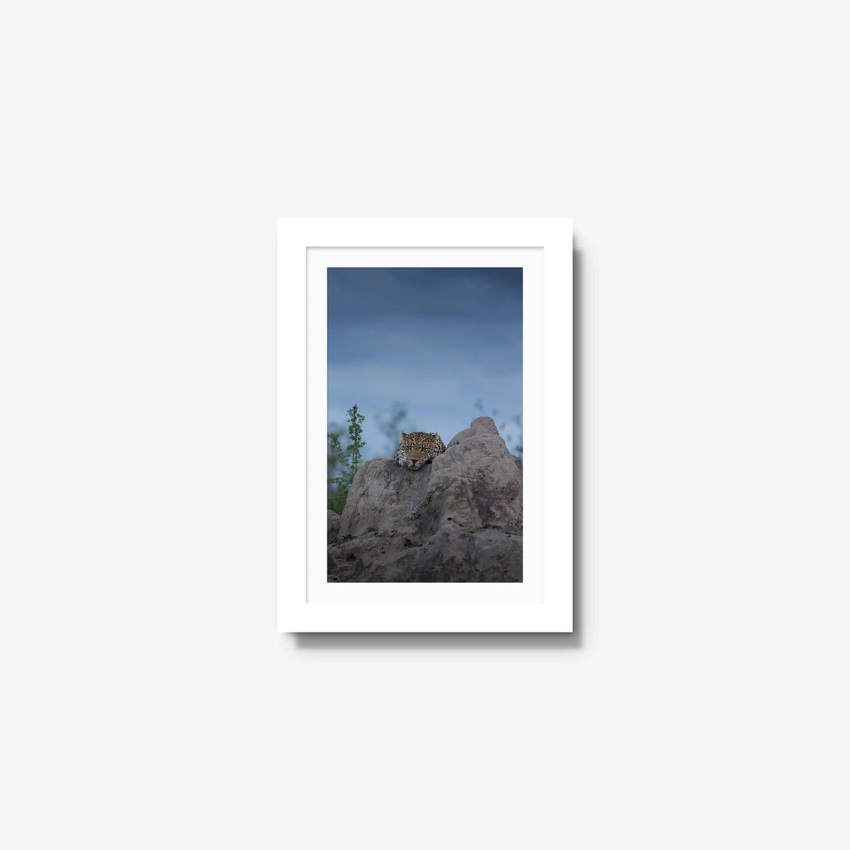 Weight of the Day — mini / white / mat