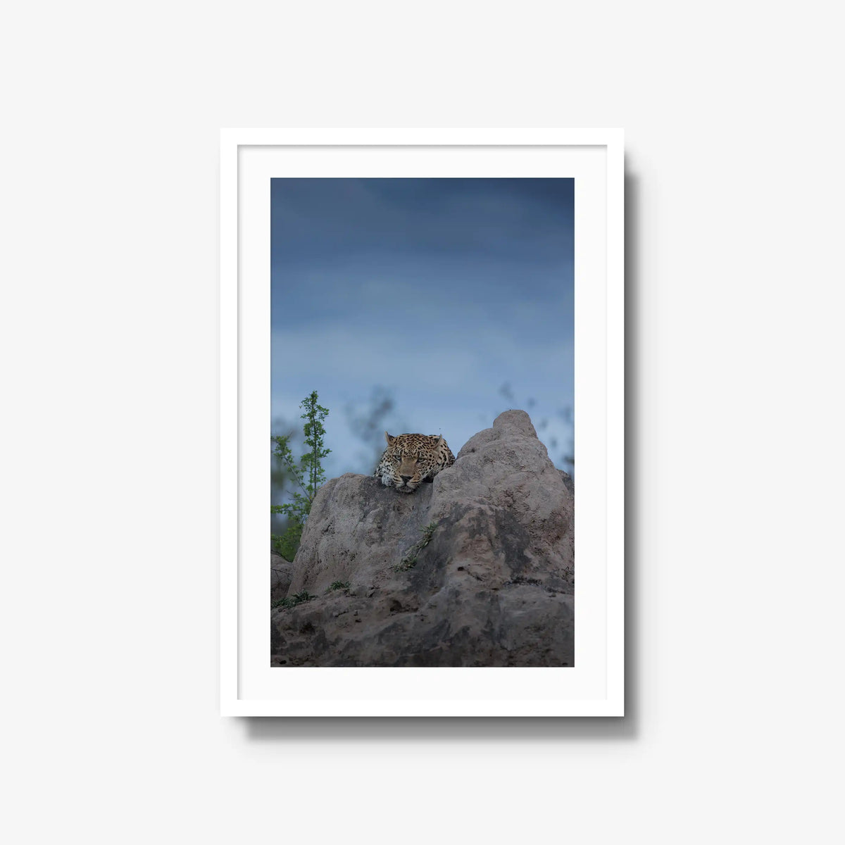 Weight of the Day — large / white / mat