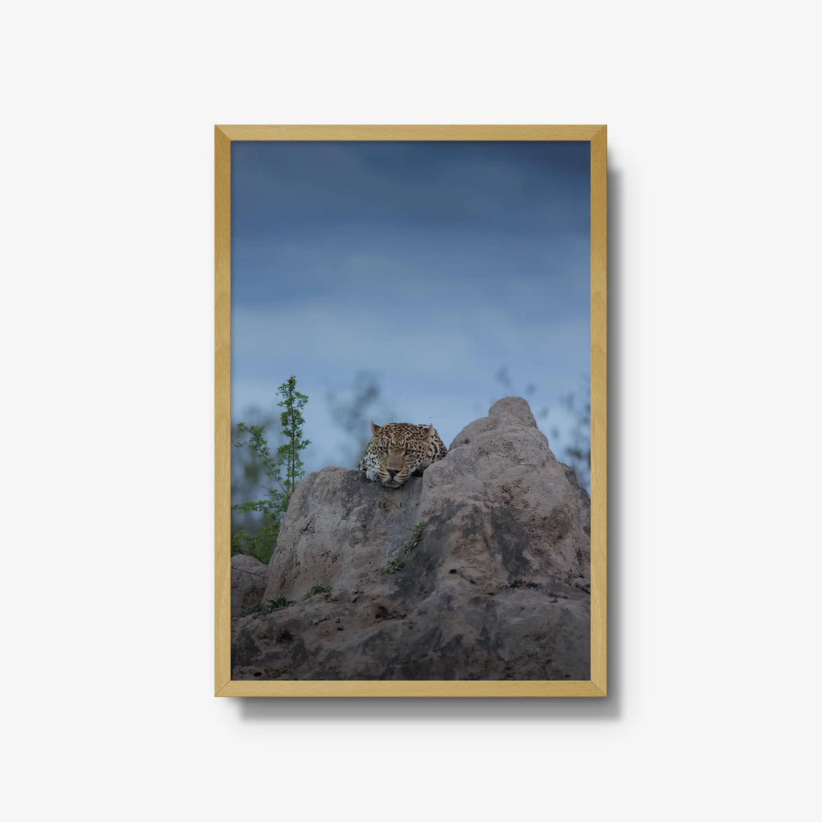 Weight of the Day — large / natural / full