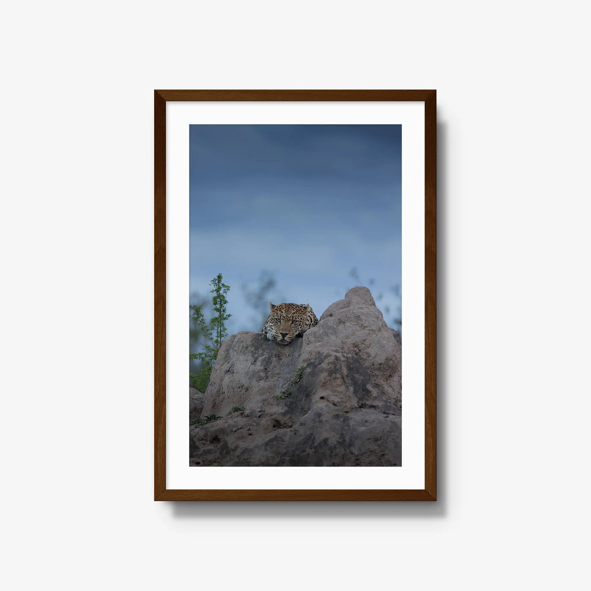 Weight of the Day — large / brown / mat
