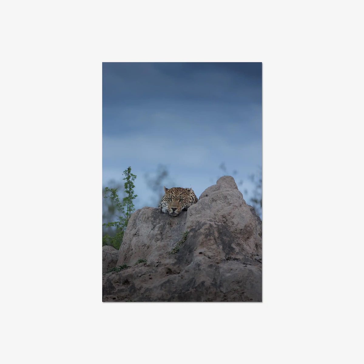 Weight of the Day — large / print / n/a