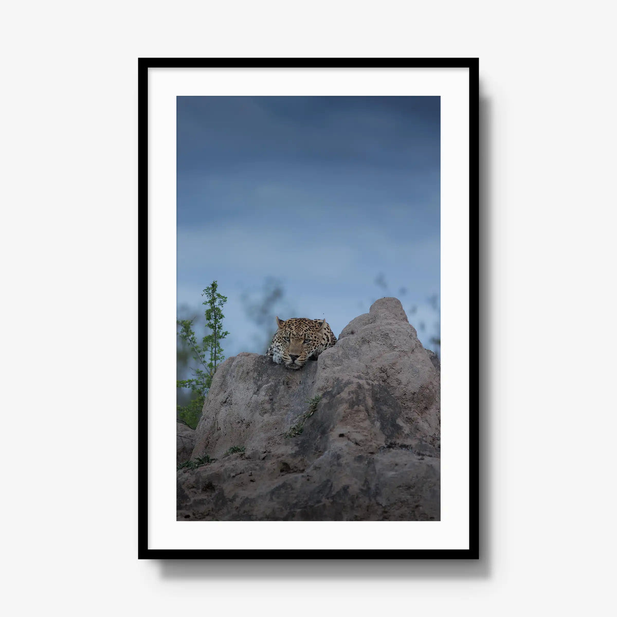 Weight of the Day — gallery / black / mat