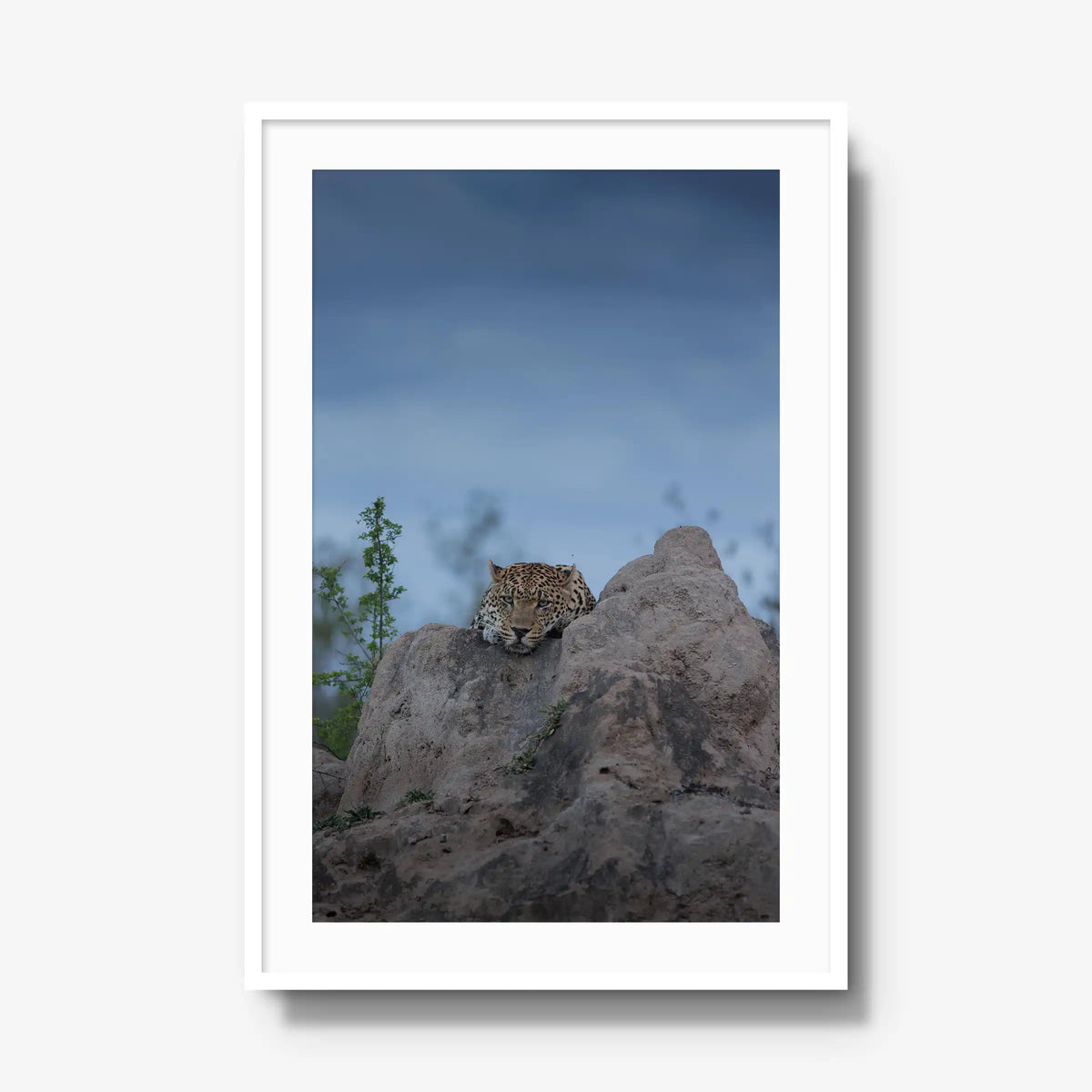 Weight of the Day — gallery / white / mat