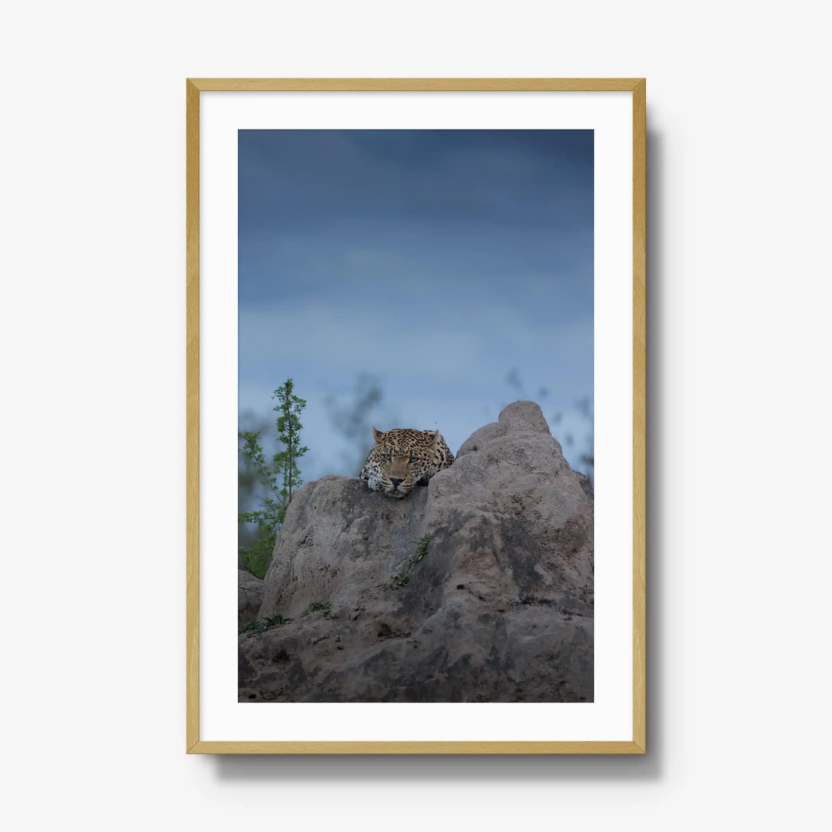 Weight of the Day — gallery / natural / mat