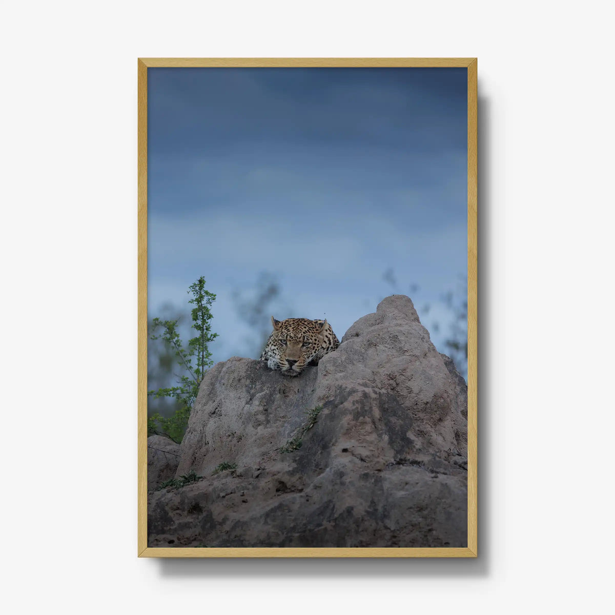Weight of the Day — gallery / natural / full