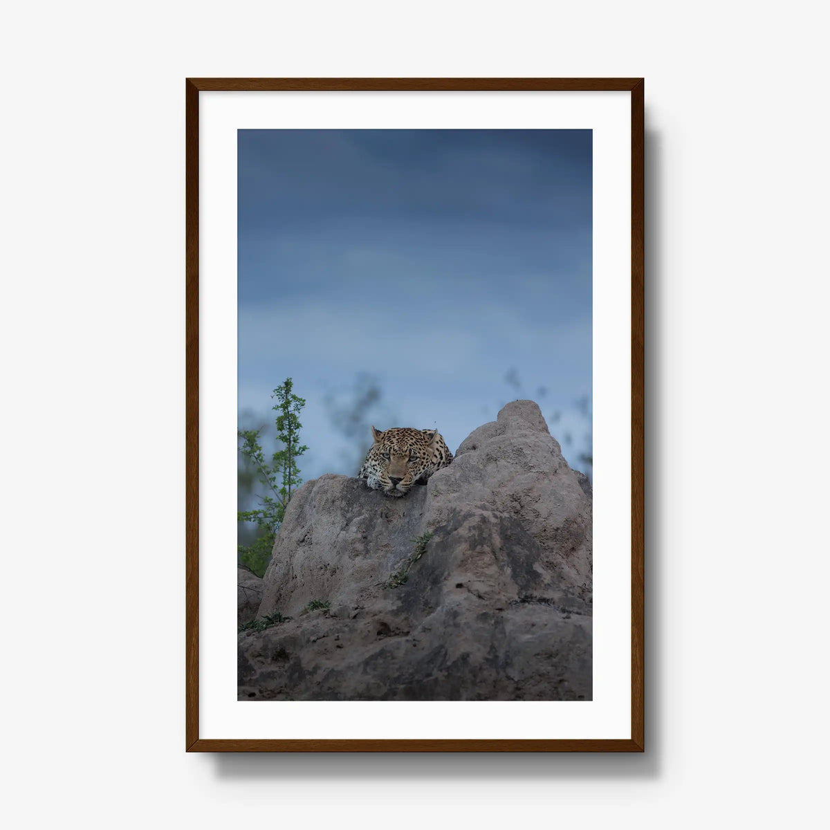 Weight of the Day — gallery / brown / mat
