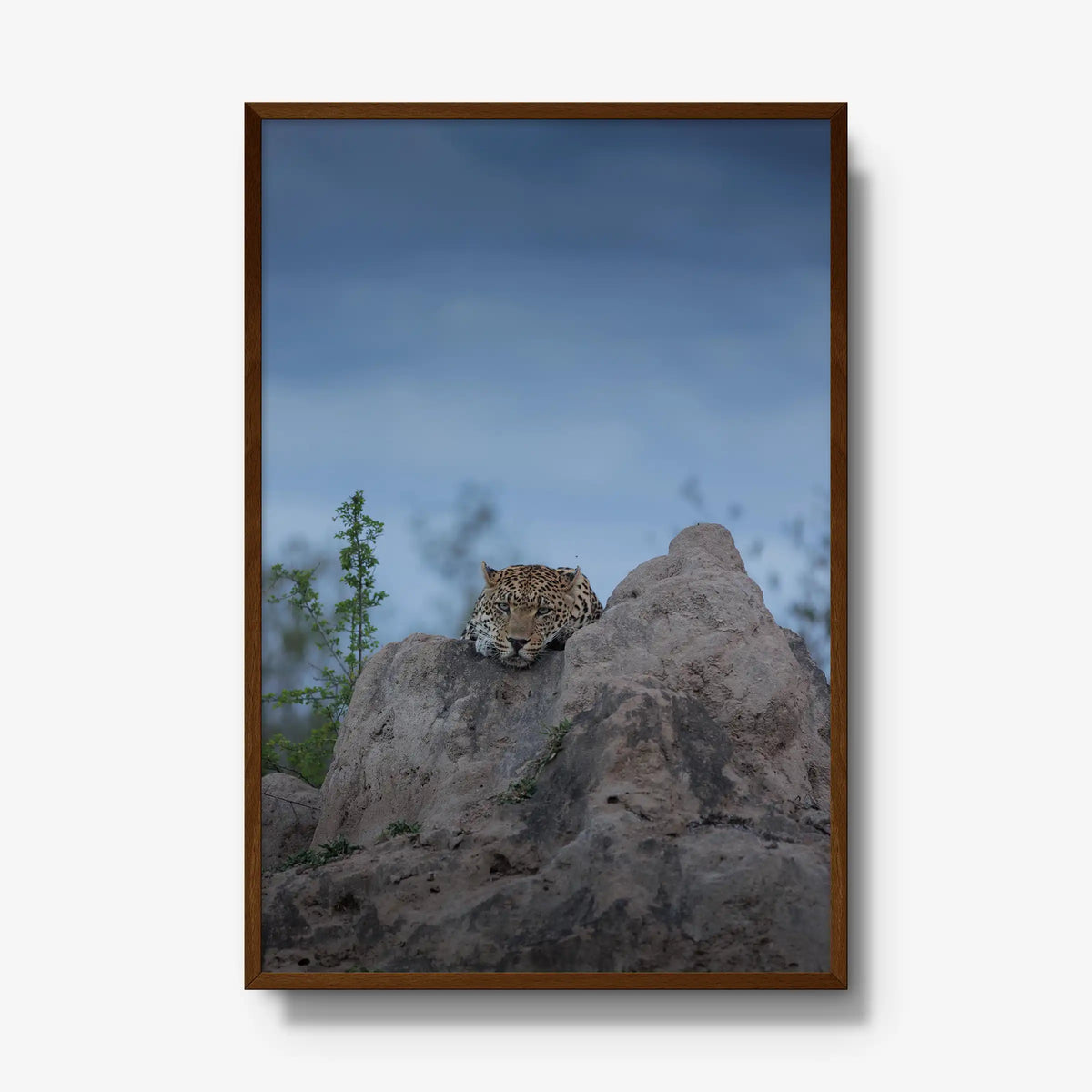 Weight of the Day — gallery / brown / full