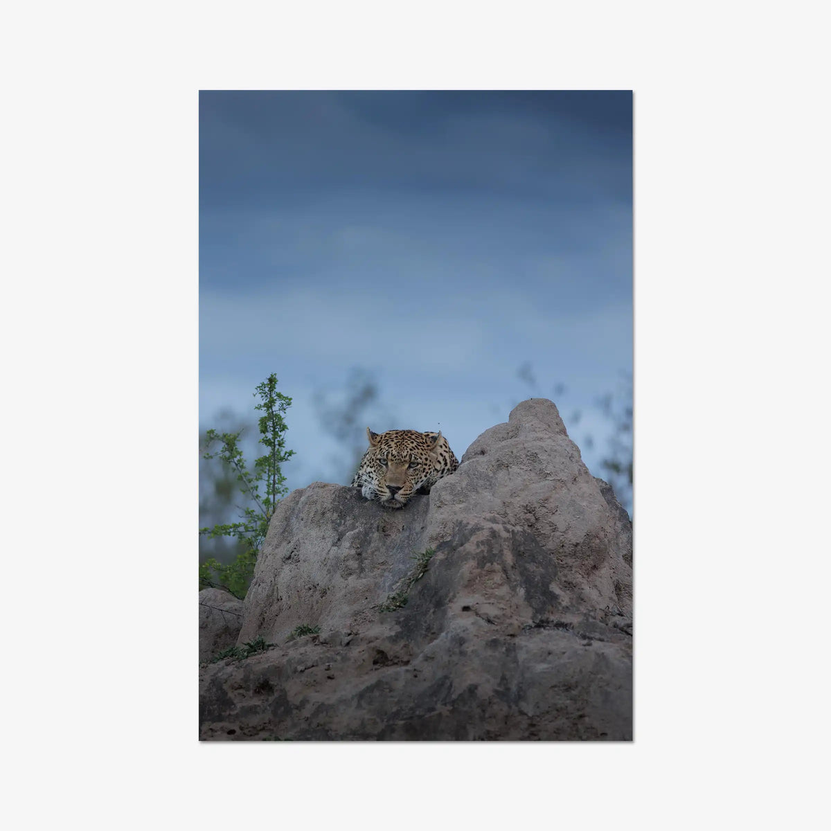 Weight of the Day — gallery / print / n/a