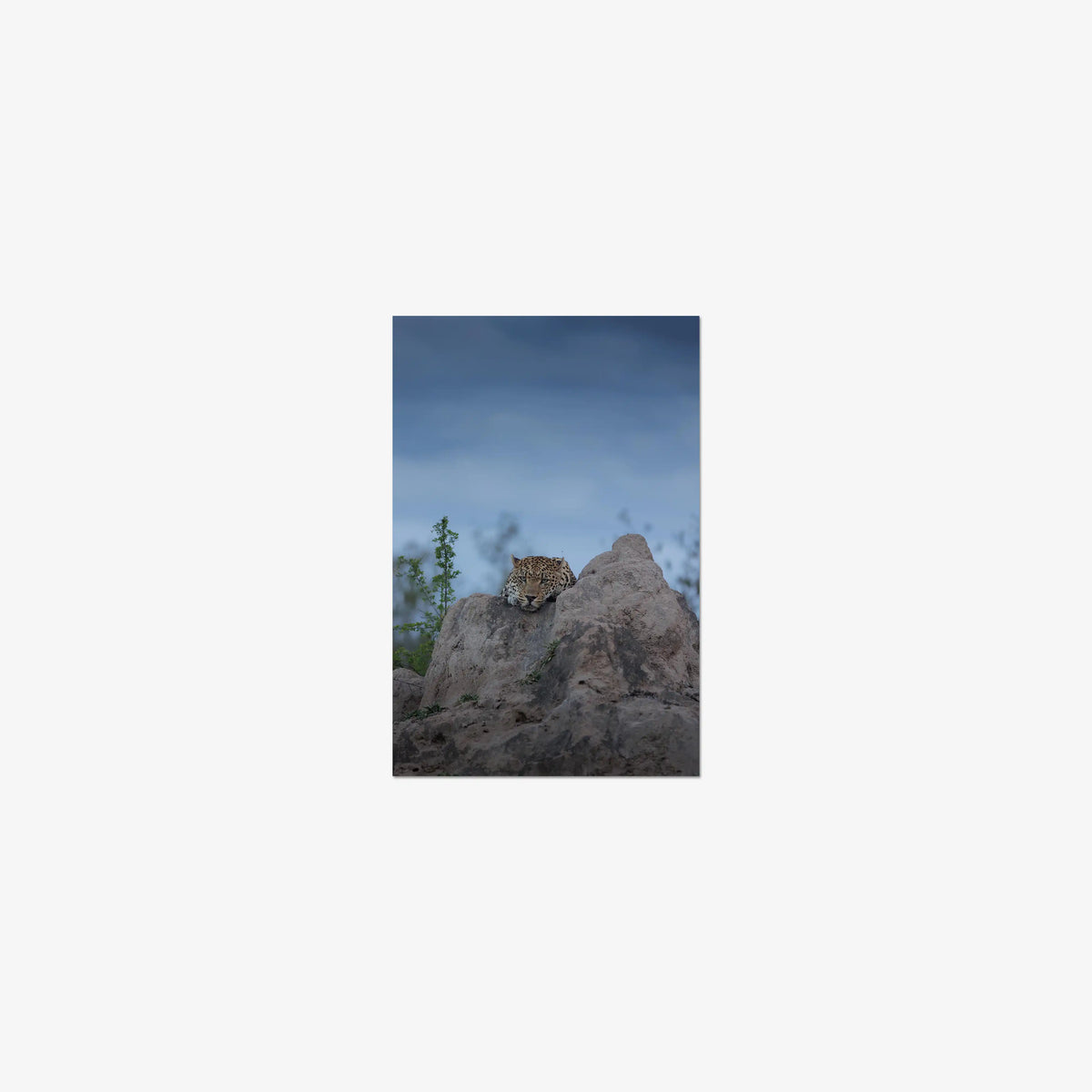 Weight of the Day — mini / print / n/a