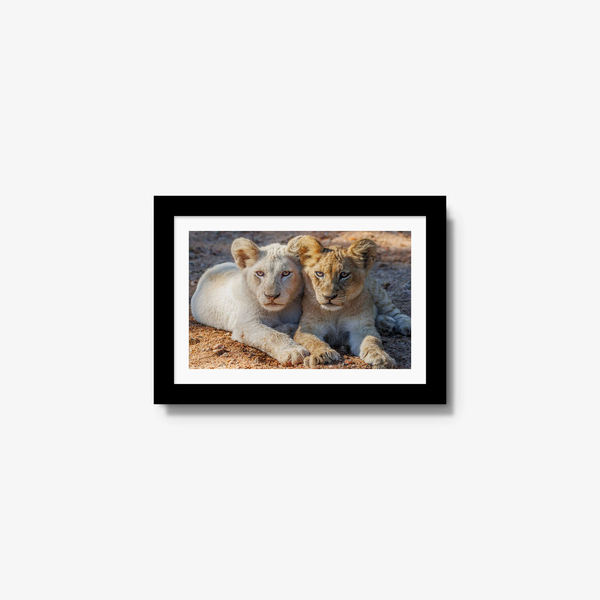 Ghost and Gold — mini / black / mat