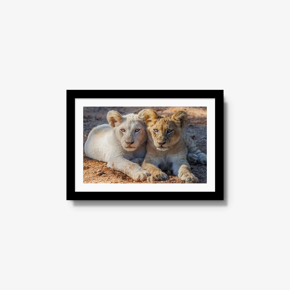 Ghost and Gold — small / black / mat