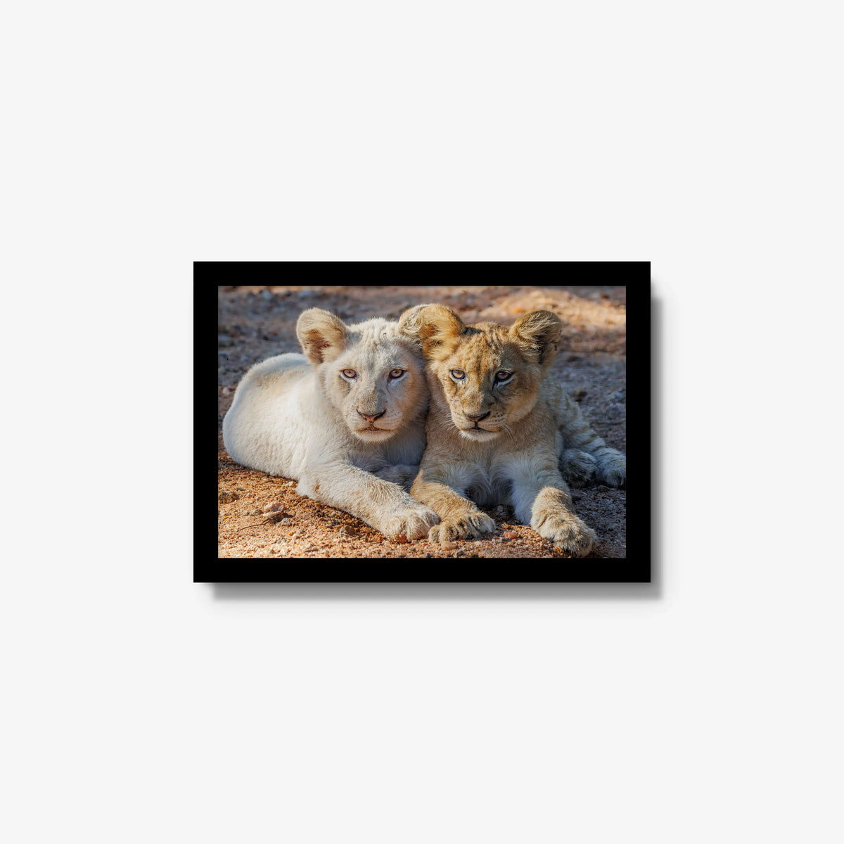 Ghost and Gold — small / black / full