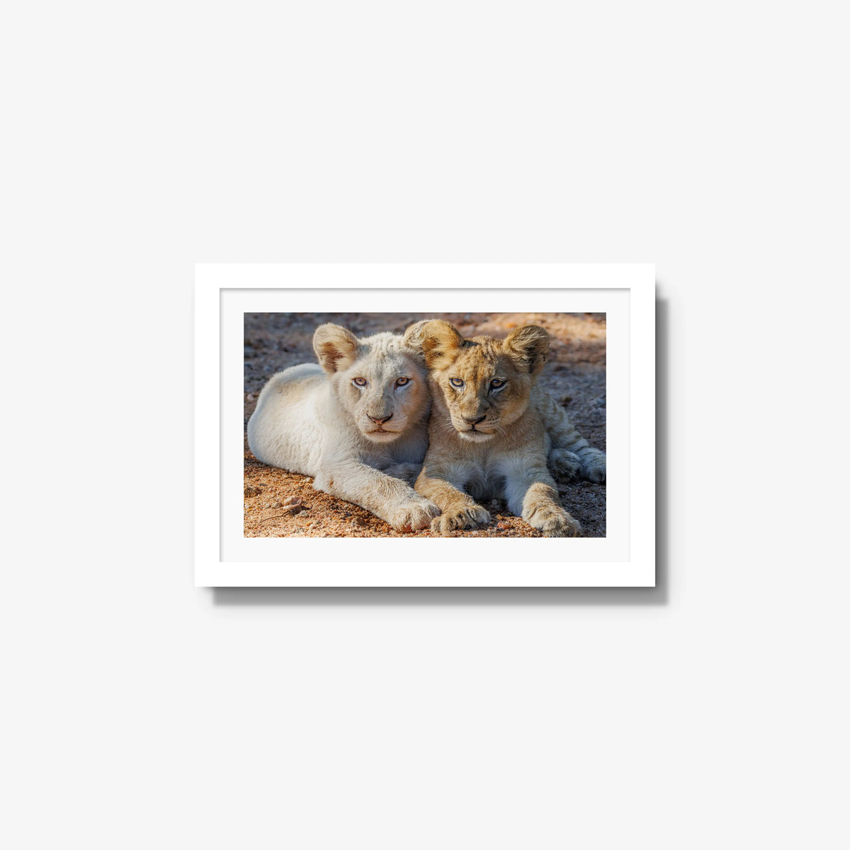 Ghost and Gold — small / white / mat