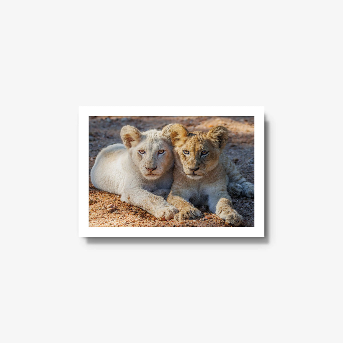 Ghost and Gold — small / white / full
