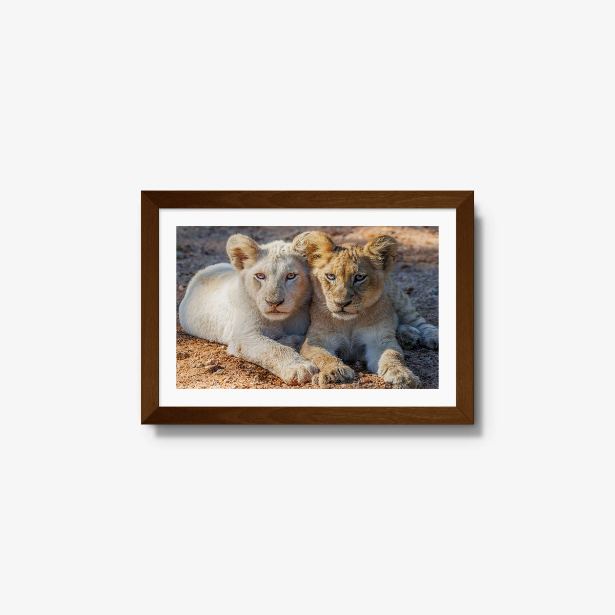 Ghost and Gold — small / brown / mat