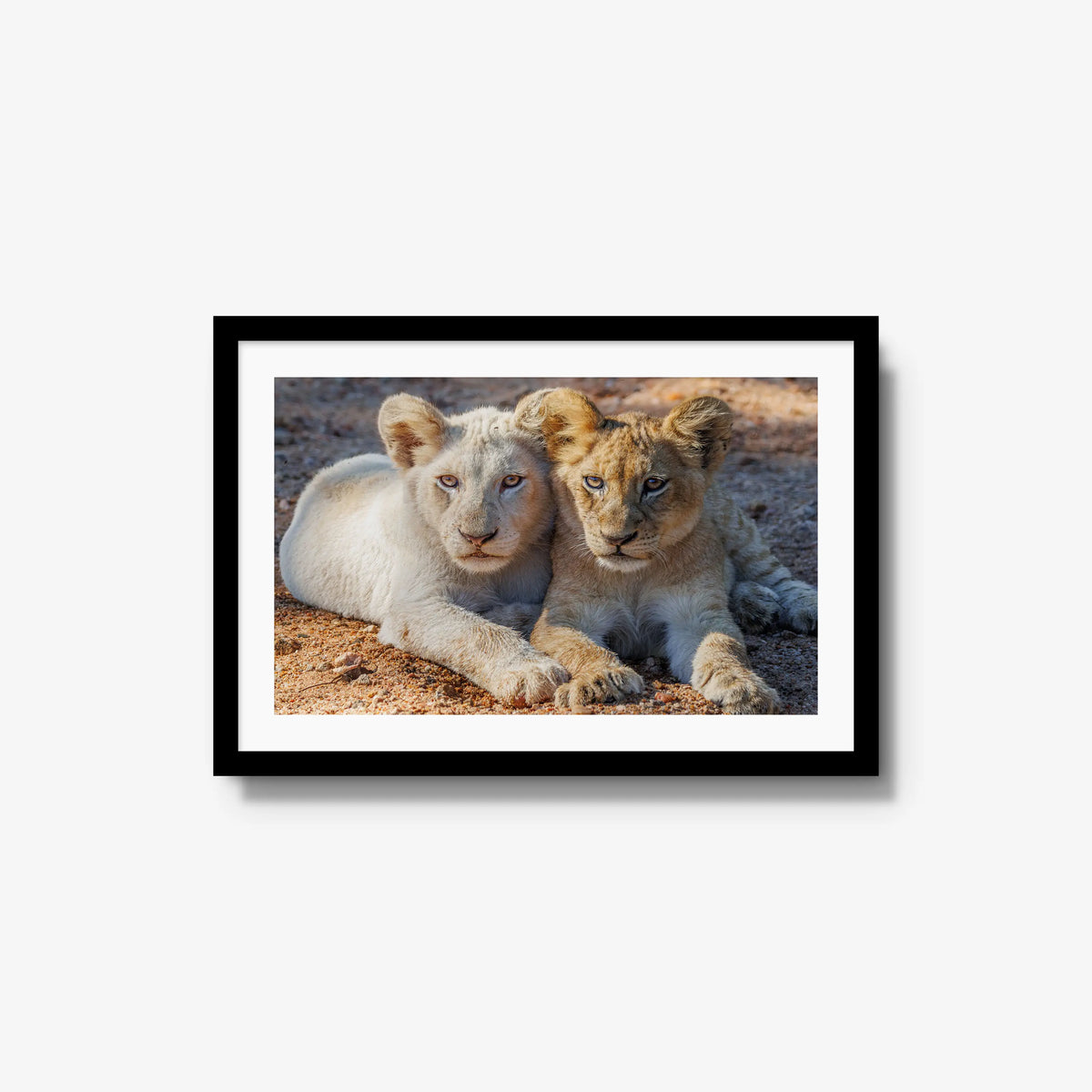 Ghost and Gold — medium / black / mat