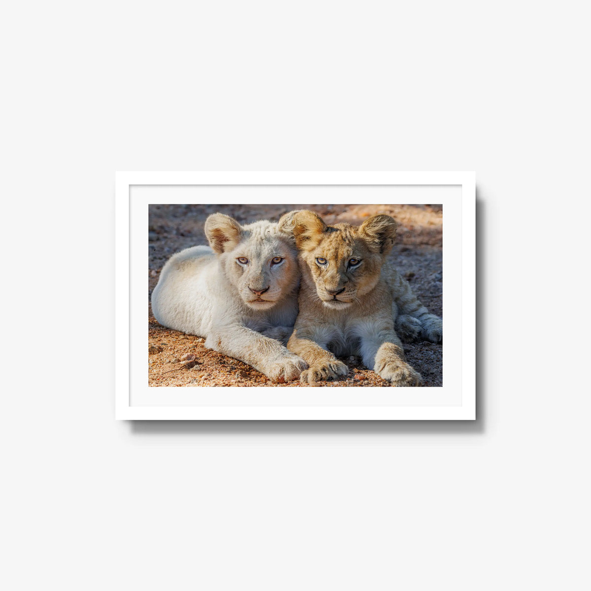Ghost and Gold — medium / white / mat