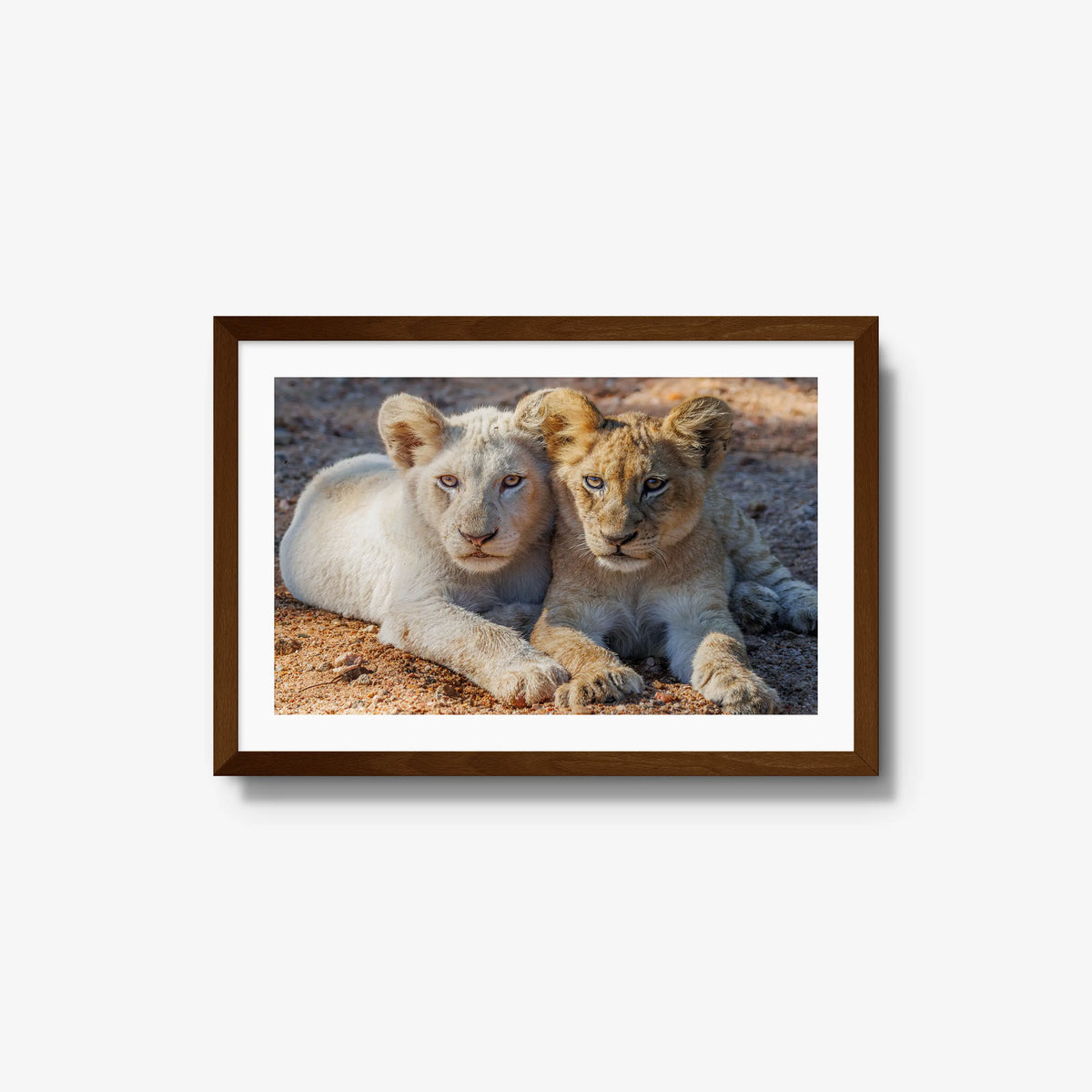 Ghost and Gold — medium / brown / mat