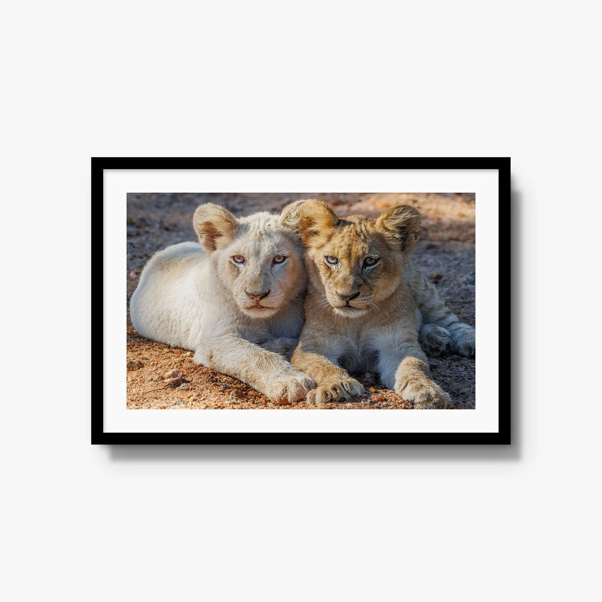 Ghost and Gold — large / black / mat
