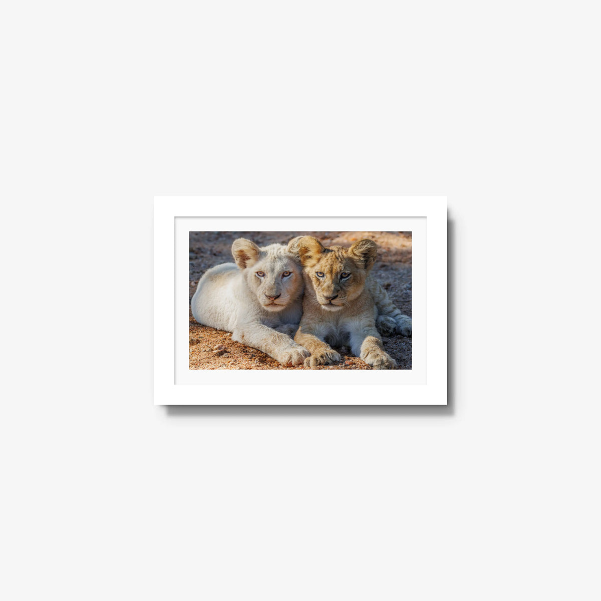 Ghost and Gold — mini / white / mat