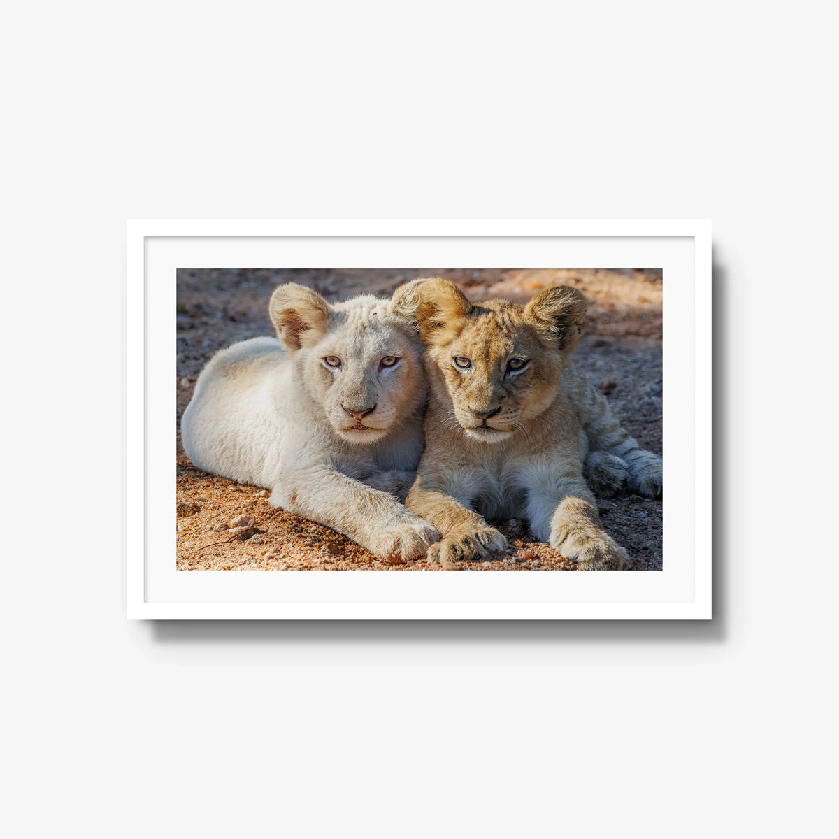 Ghost and Gold — large / white / mat