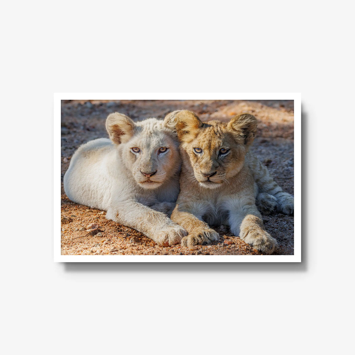 Ghost and Gold — large / white / full
