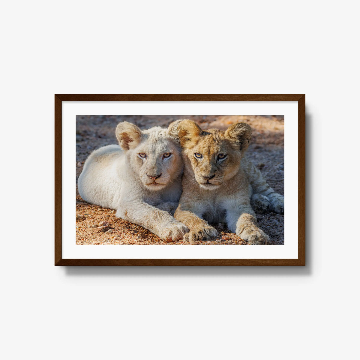 Ghost and Gold — large / brown / mat