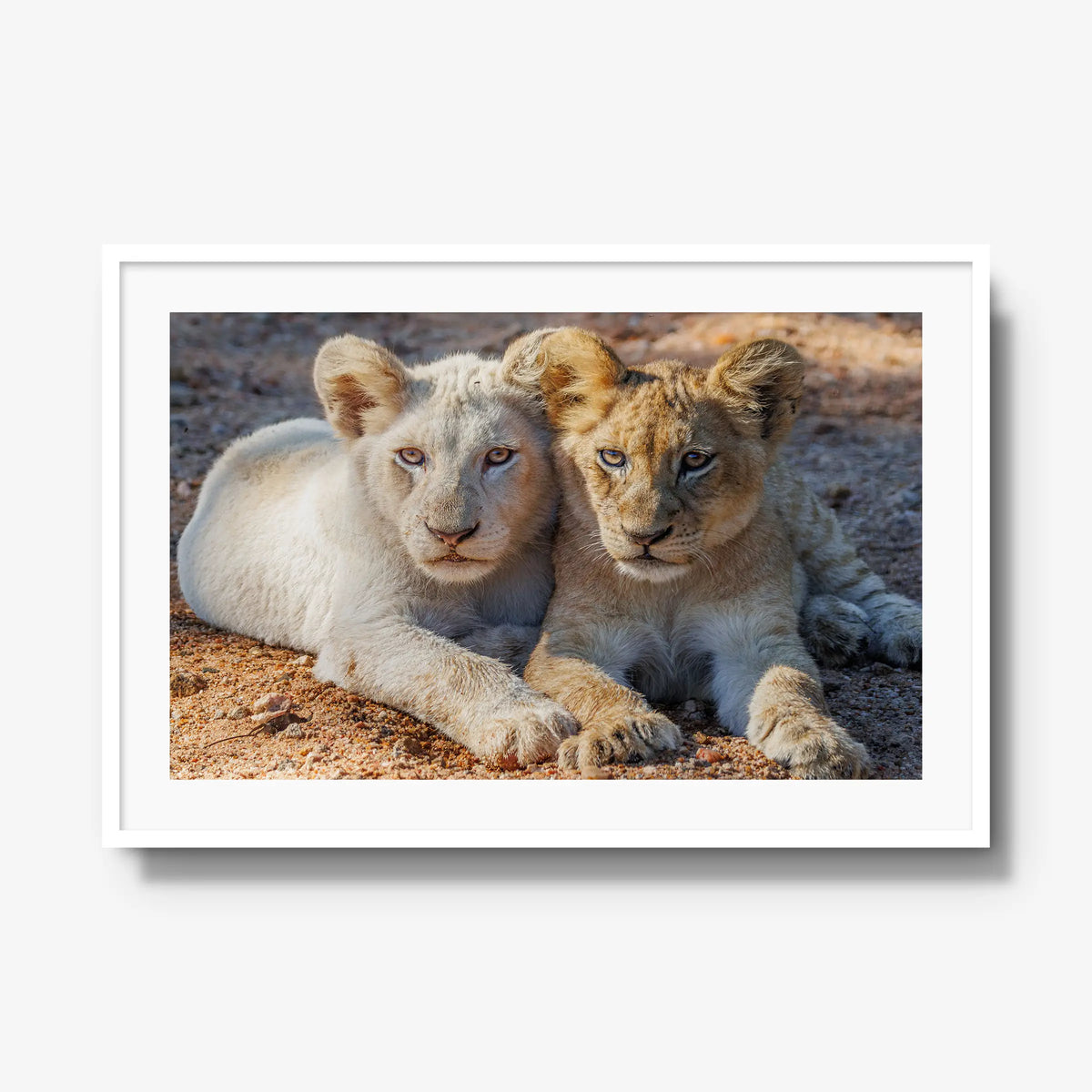 Ghost and Gold — gallery / white / mat