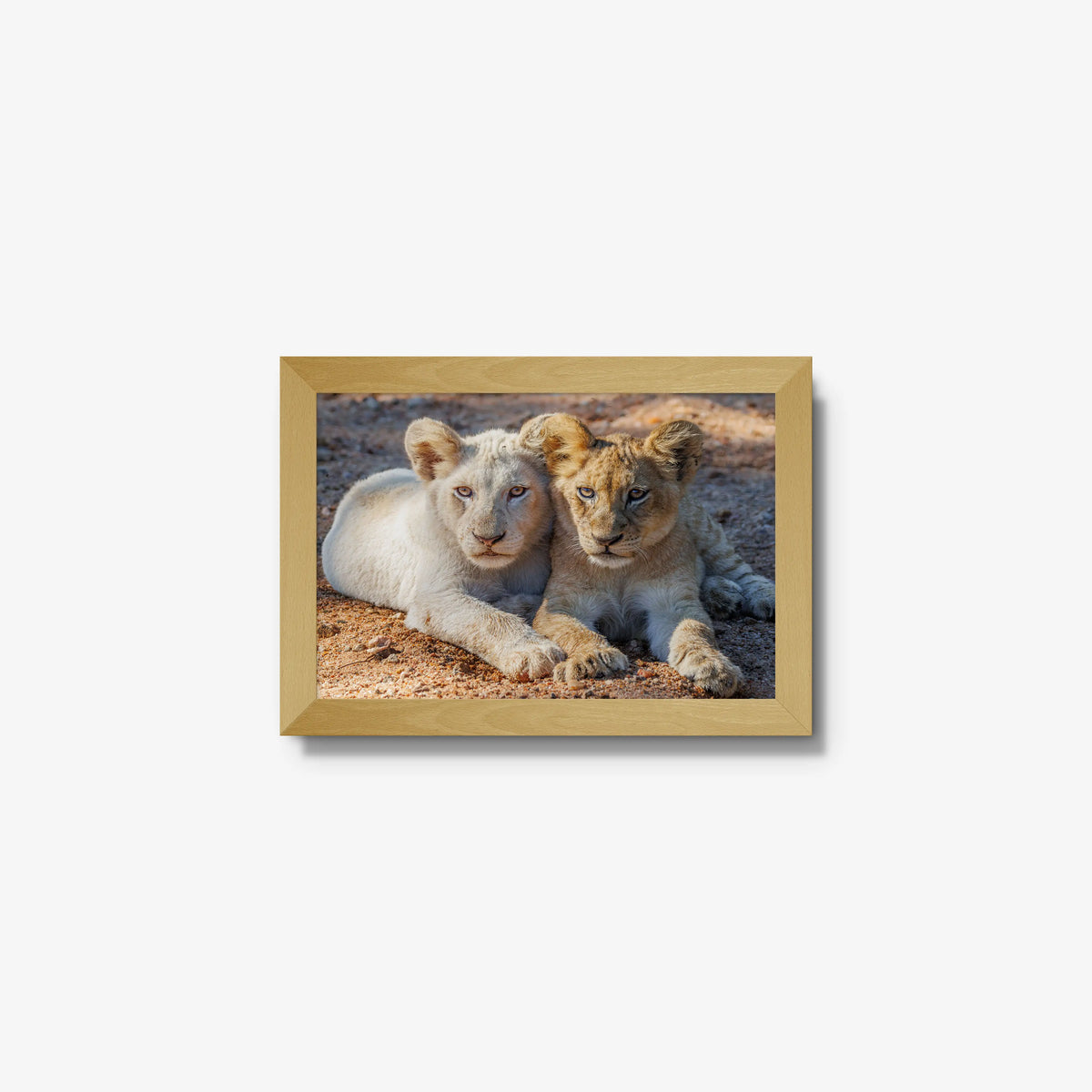 Ghost and Gold — mini / natural / full